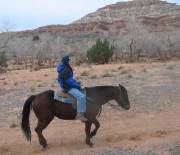 Mark on his horse