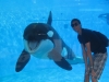 b-shamu-fron